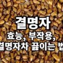 결명자차 효능 끓이기 방법 아시나요 이미지