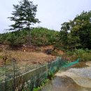 보매기길 이미지