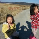 채연농장 네이버블로그
