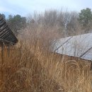 무성햇빛발전소 이미지