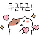 모어도트 이미지