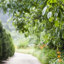 물소리민박 이미지