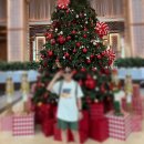 홍주쇼핑타운상인조합 | 푸꾸옥 노보텔 호텔 체크인과 소나시 야시장 첫 방문 | 1일차 (2025)