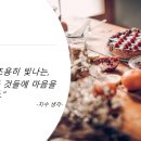 세스트 이미지