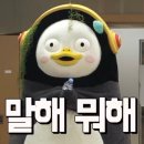 윤아네 이미지