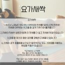 토요요 이미지