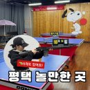 소사벌레저