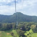 호반스크린 | 제천 가족여행 청풍호반케이블카 할인꿀팁