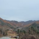 행정심판 119 이미지
