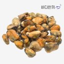 주식회사 한바다