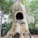 호텔리버 이미지