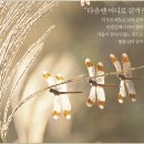 언남중학교 이미지