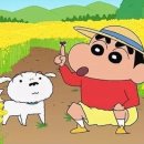 도남돼지 이미지