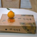 델리플루