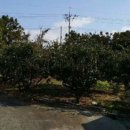 남서마을회관 이미지