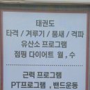 영킴스태권도 이미지