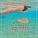 소가 | 소가상점 고프로 13 대여 재구매 후기 길리 스노클링