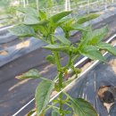 충주농약마트 이미지