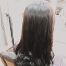 뽕니헤어
