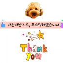 가야산백운오토캠핑장 이미지