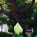 청명회관 이미지