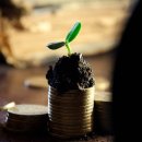 행복한 돈 이미지