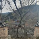 화림제 이미지