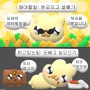 자다깨다 수면패턴 엉망이야