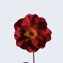 뷰티라인 이미지