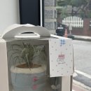 봉계10길 42(봉방동) | [충주 주문 케이크] 봉방동 '시즈더케이크'! 🎂 신상 딸기요거트 맛 솔직 후기