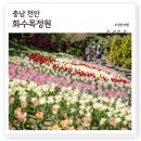천안 아름다운정원화수목, 서울근교 수국 튤립 5월 봄꽃여행 카페 추천여행지