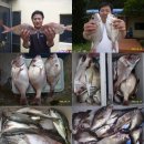 기타(오후) 이미지