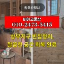 비아양은집