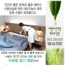 자연흙침대 이미지