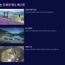 무릉농장 | 2025 무릉별유천지 라벤더 축제 완벽 가이드