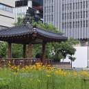 시화정
