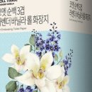 라벤더&바닐라 이미지