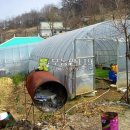 공세리농장 이미지