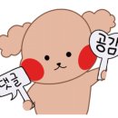 쏠카페 이미지