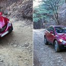 감악산 캠핑숲 이미지