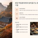 종부둔치화장실(백일홍화장실) | 평창 백일홍축제 2025: 가을을 물들이는 천만 송이 백일홍의 향연!