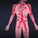 황금버섯 이미지