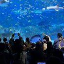 코엑스아쿠아리움 이미지