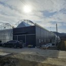 복실농장 이미지