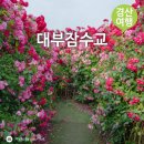 경산 하양비소-01 | 경북 경산 대부잠수교 장미터널 데이트 가볼만한곳