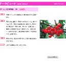 뷰트(BEAUT)