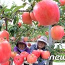 학림농장 이미지