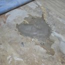 함양맨션 이미지