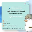 낙동강 세계평화 문화 대축전 칠곡보 생태공원에서 열리는 호국평화축제 이미지