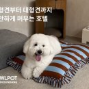 하울팟